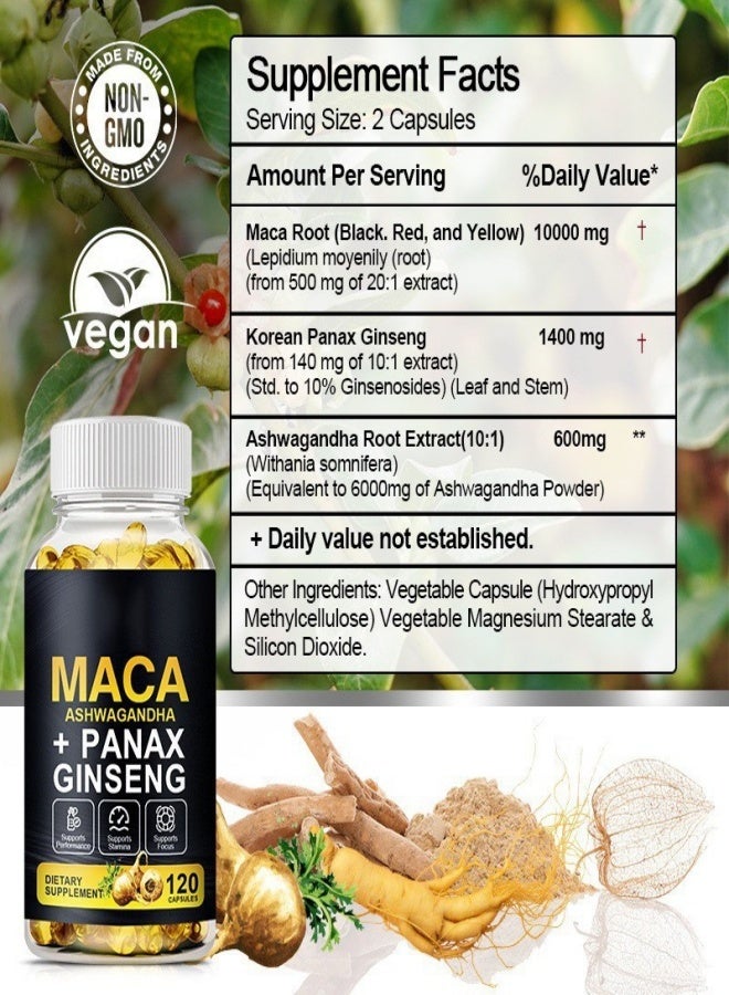 Macal Maca Ginseng Capsules for strengthening the body and improving endurance - 120 capsules  - Image 3