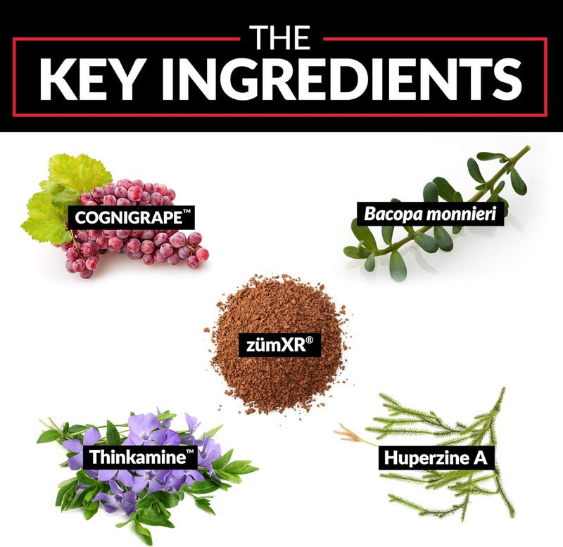 Force Factor Forebrain Nootropic Brain Supplement to Improve Memory Boost Focus Increase Mental Energy and Support Brain Health with Caffeine Bacopa and Huperzine A 30 Capsules - Image 5