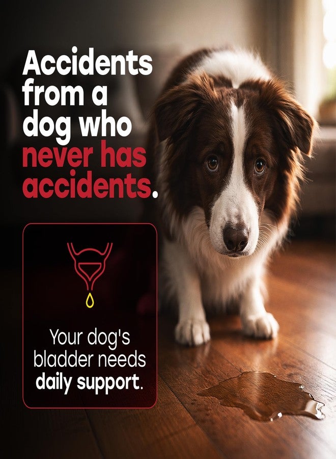 Pup Choice Urinary Tract Supplement for Dogs - Cranberry & Bladder Support - Image 3