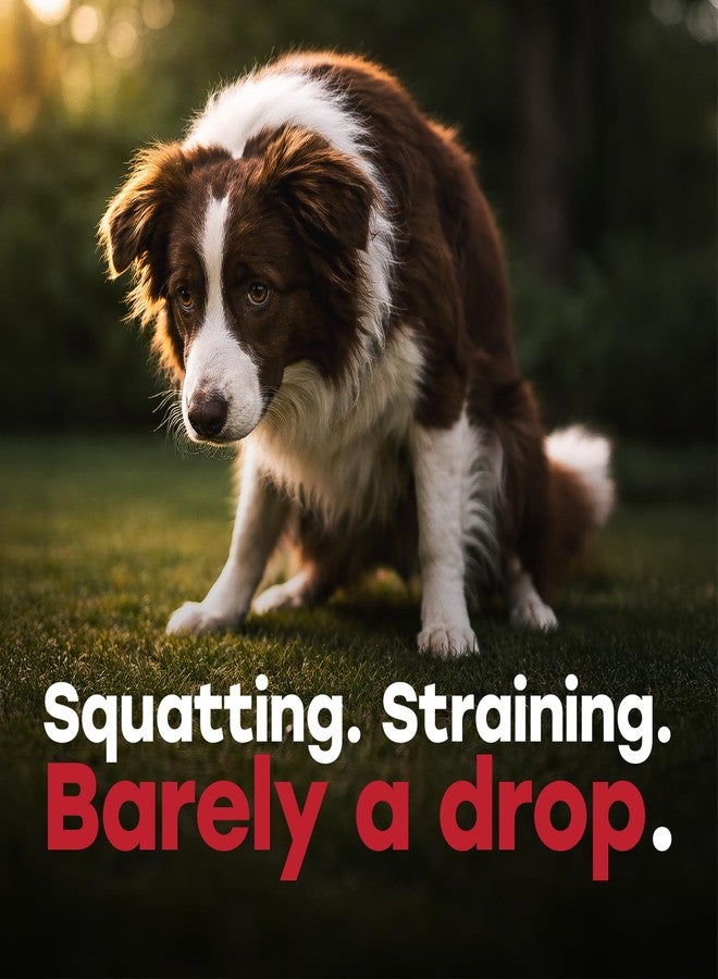 Pup Choice Urinary Tract Supplement for Dogs - Cranberry & Bladder Support - Image 2