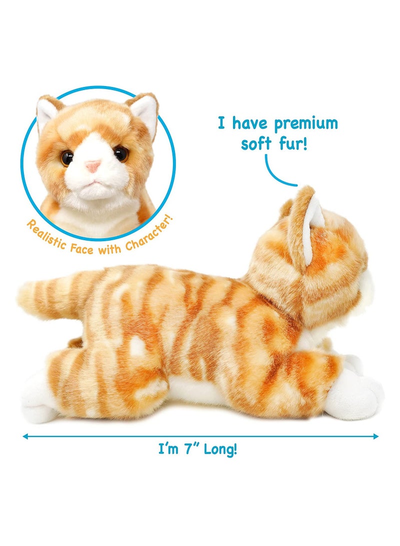 فياهارت فيهارت تمار القط البرتقالي الناعم لعبة محشوة للأطفال | حيوانات محشوة قابلة للعناق | ألعاب منفوخة للأطفال، الأطفال الصغار | قماش بوليستر | حشو بولي بروبيلين | العمر الموصى به 3+ - Image 2