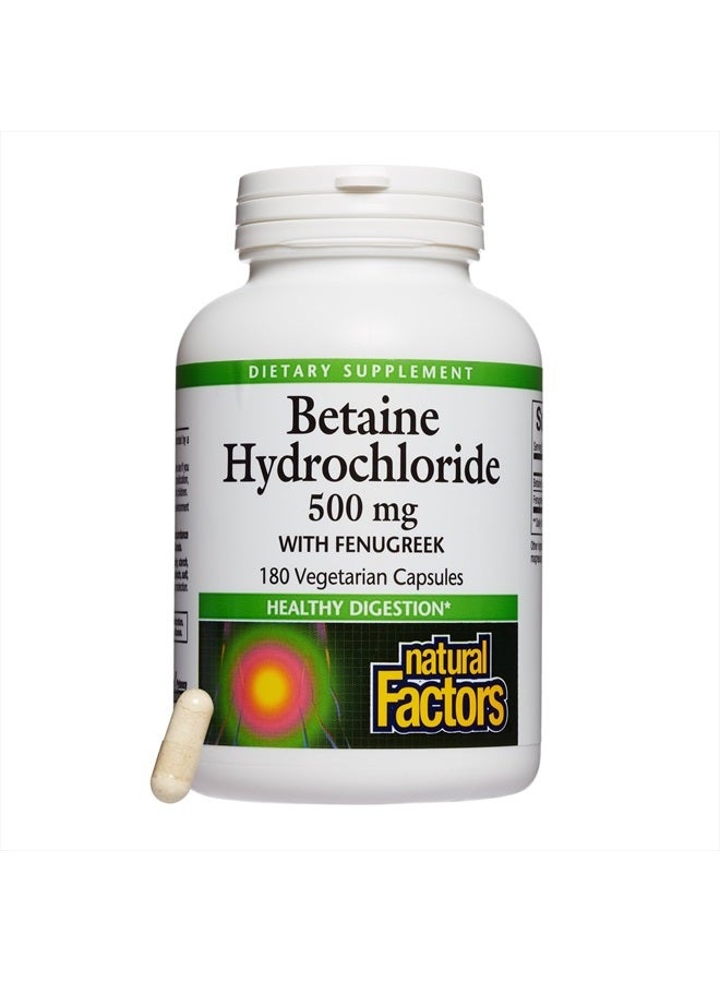 natural Factors , Betaine HCL 500 mg, Supports Healthy Digestion and a Healthy Microbiome, 180 capsules (180 servings) - Image 1