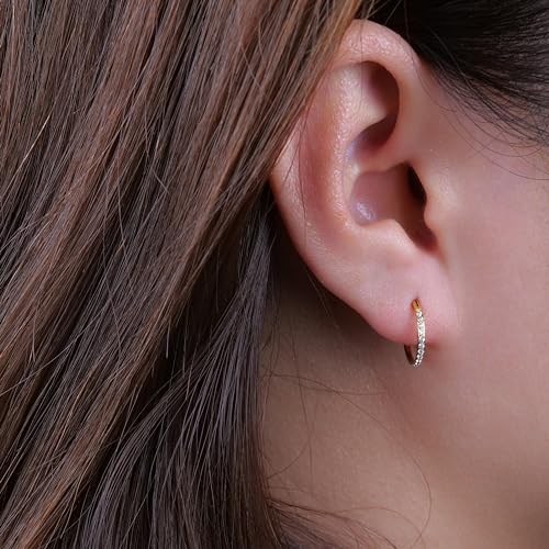 Limerencia G23 Titanium Slim Huggie Hoop Earrings, Hypoallergenic F136 Implant Grade Pure Titanium for Sensitive Ears (10mm White CZ Gold) - Image 2