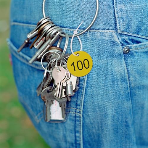 ONLYKXY 1-100 Number Tags Plastic Numbered Marking Identification Hang Tags Luggage Labels ID Tag with Rings for Organized Coded Key Box Cabinet Plant Coding Tag (Yellow) - Image 3