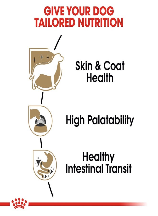 رويال كانين طعام الكلاب رويال كانين للسلالات الصحية والتغذية للكلاب البالغة من فصيلة شيواوا، رغيف في صلصة، 3 أونصة (عبوة من 6 قطع) - Image 4