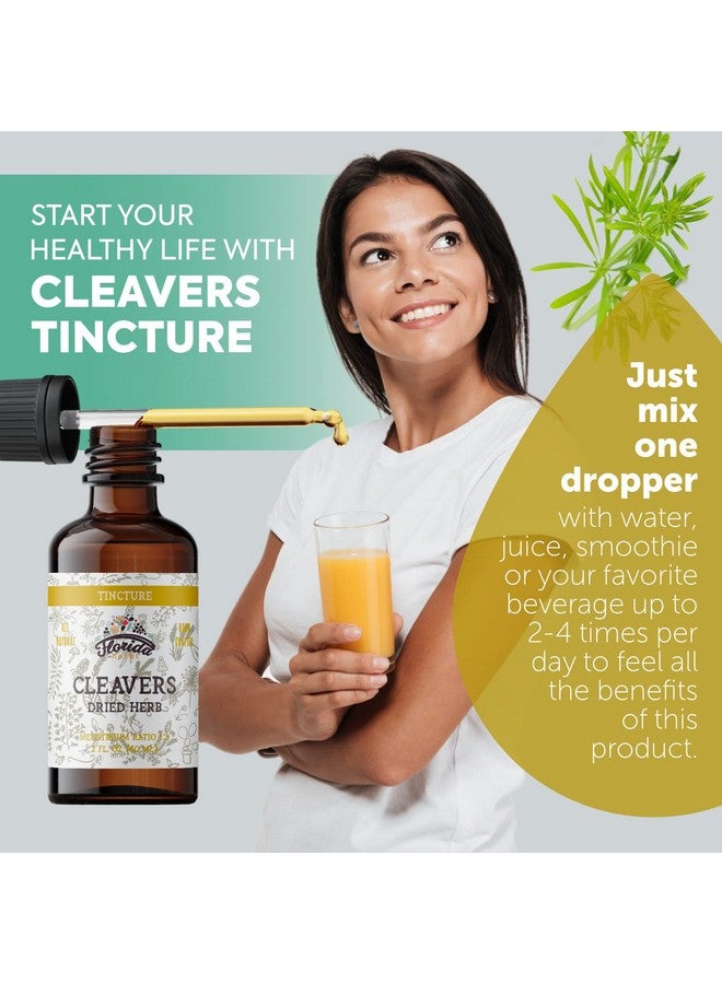 FLORIDA HERBS Cleavers Tincture, Organic Cleavers Extract, Cleavers Drops (Galium aparine) Dried Herb - Image 2