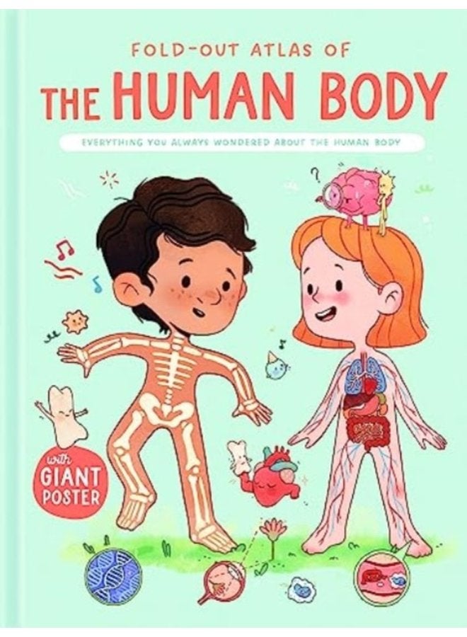 The Human Body Fold Out Atlas of - Hardback