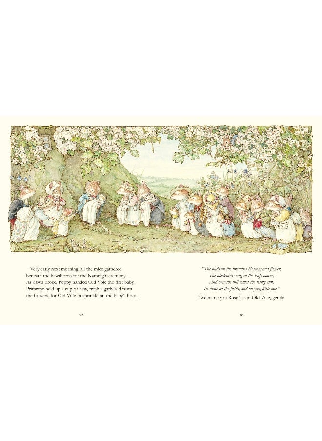 null - HarperCollins Children's Books The Complete Brambly Hedge - Image 1