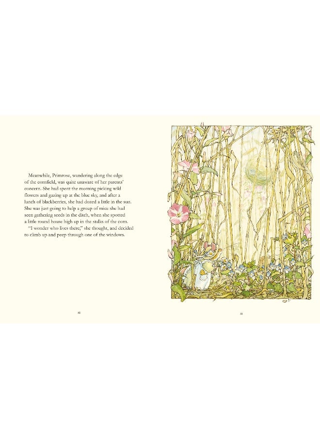 null - HarperCollins Children's Books The Complete Brambly Hedge - Image 1