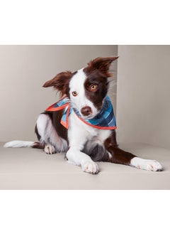 Tchibo Scarf For Dogs, Navy Combo  - Image 1