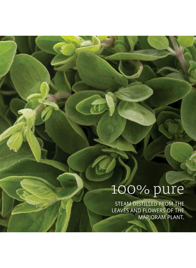 ناو فودز زيت نقي بخلاصة نبات البردقوش - Image 5