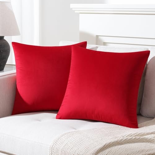 مكسهاج Mixhug Disrodative Throw Pillow Covers Cover Coushion Coushion Coushion Cover Cover Cover Confer Throw Throw facts for bed red 16 × 16 int