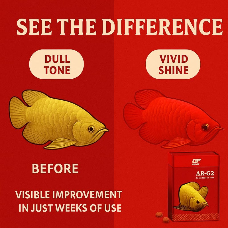 VAYINATO Ocean Free Ar-G2 Pro Arowana Intense Colour Fish Food (Original), 250G|Daily Feed/Floating Type - Image 5