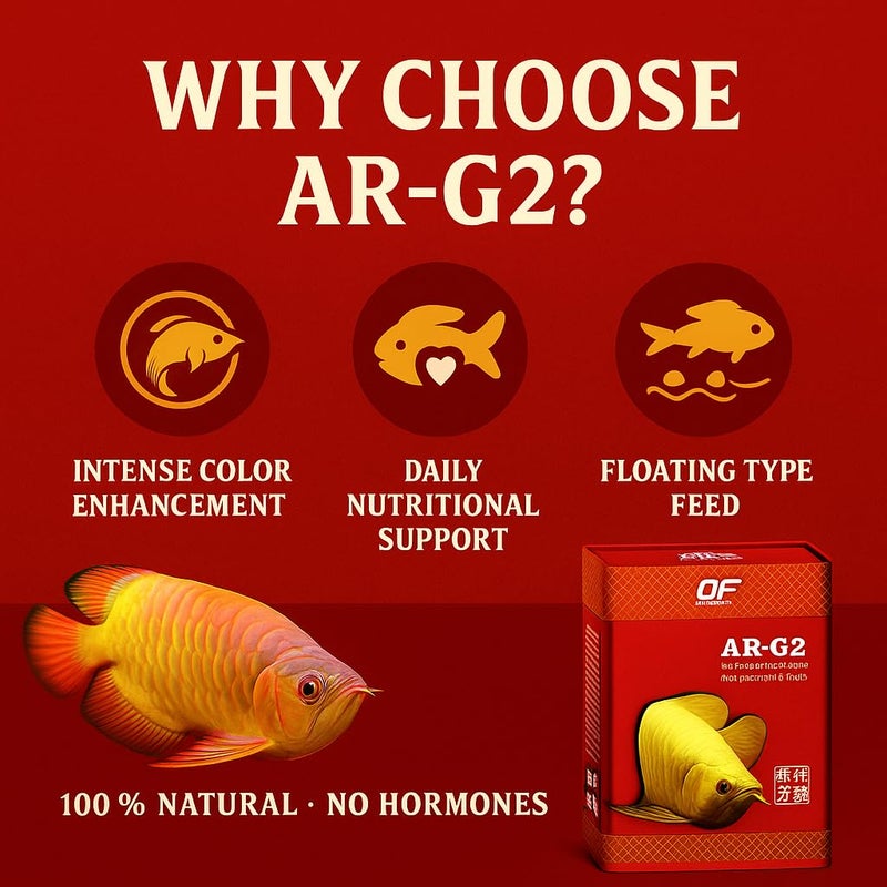 VAYINATO Ocean Free Ar-G2 Pro Arowana Intense Colour Fish Food (Original), 250G|Daily Feed/Floating Type - Image 2