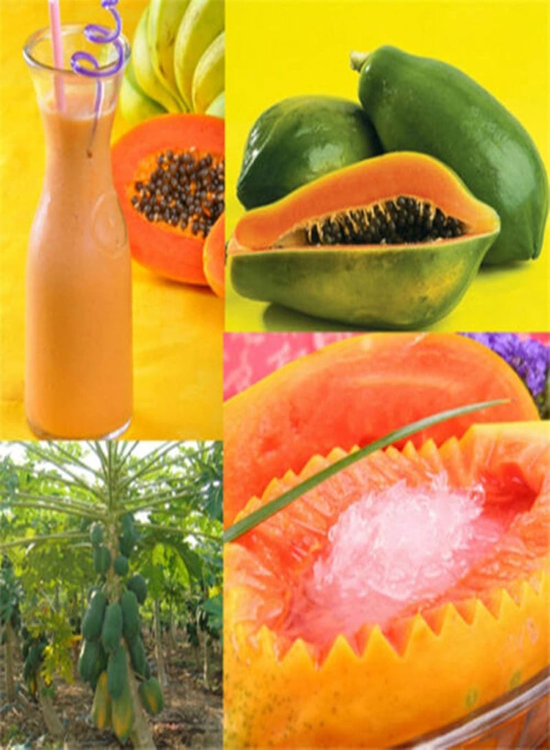 GGOOT seeds Green Garden Flower Plants 8Pcs Sweet Papaya Seeds Fruits Home Melon Tree Plants Garden Bonsai Farm Decor   Papaya Seeds - Image 2
