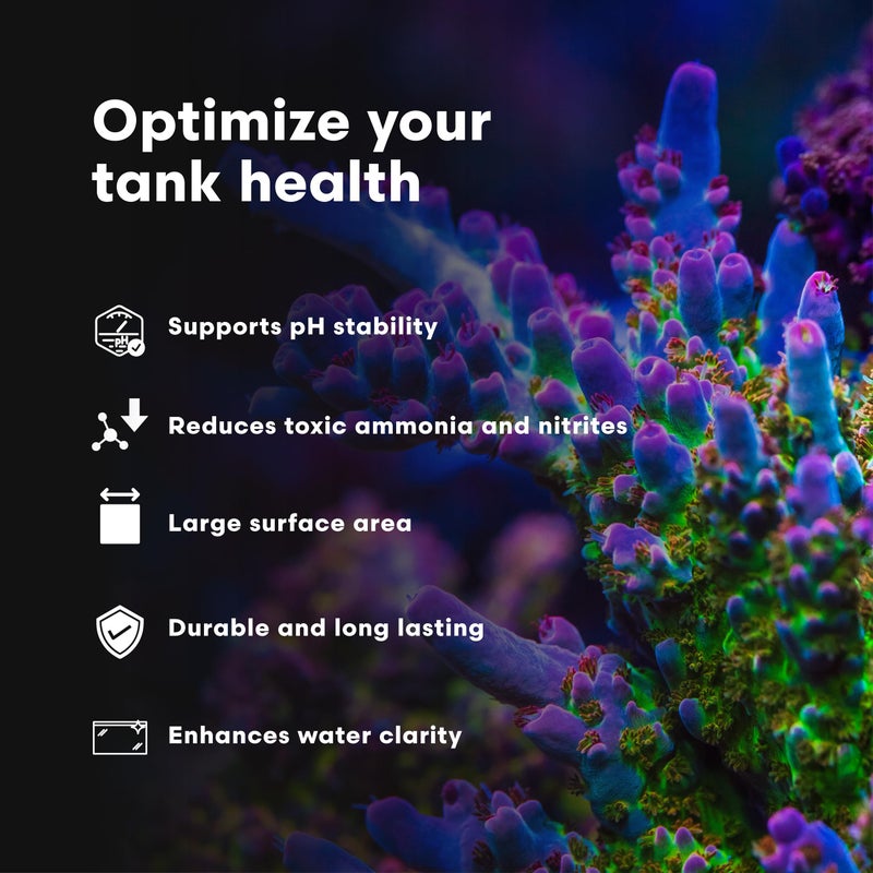 Brightwell Aquatics XPort BIO Brick â€“ Ultra-Porous Aragonite-Infused Ceramic Biological Media for Reef, Marine & Freshwater Aquariums â€“ Boosts Clarity, Removes Ammonia, Nitrites, Phosphates - Image 4