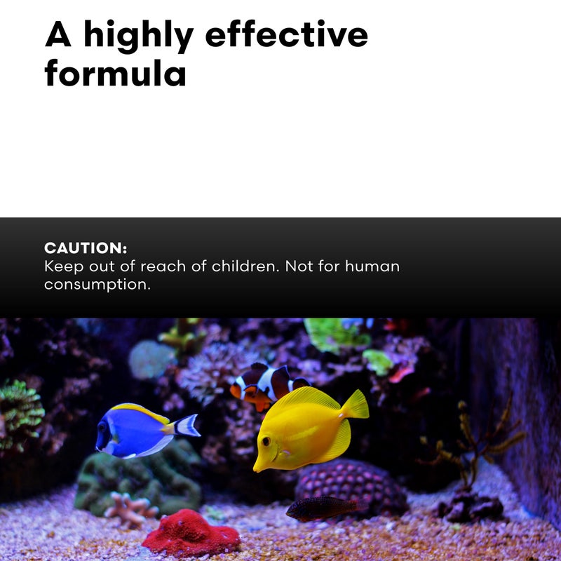 Brightwell Aquatics XPort BIO Brick â€“ Ultra-Porous Aragonite-Infused Ceramic Biological Media for Reef, Marine & Freshwater Aquariums â€“ Boosts Clarity, Removes Ammonia, Nitrites, Phosphates - Image 5