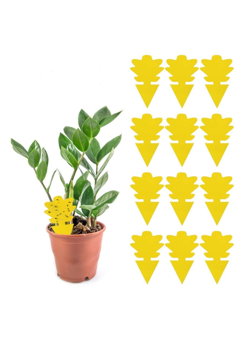 Excefore Sticky Gnat Trap, Fruit Fly and Fungus Gnat Trap Killer Indoor and Outdoor, Protect The Plant, Non-Toxic and Odorless, Gnat Trap Houseplant Flying Insect Catcher, Tree Shape  - Image 1