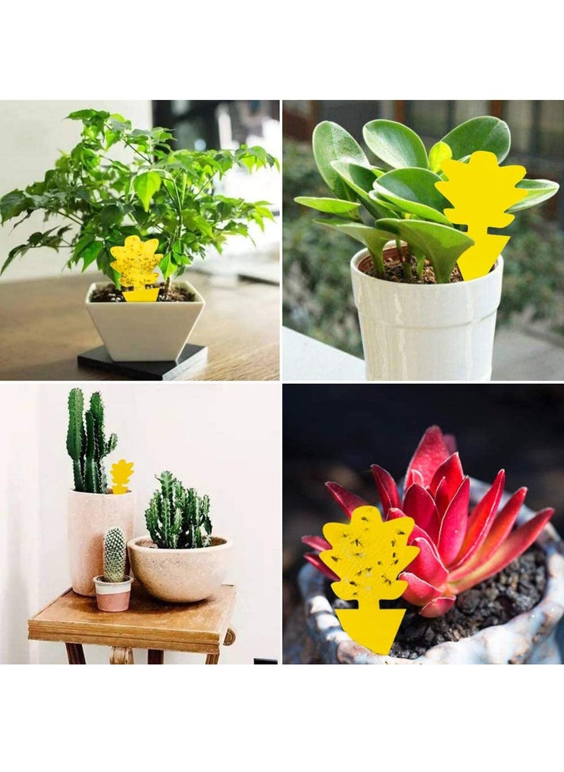 Excefore Sticky Gnat Trap, Fruit Fly and Fungus Gnat Trap Killer Indoor and Outdoor, Protect The Plant, Non-Toxic and Odorless, Gnat Trap Houseplant Flying Insect Catcher, Tree Shape  - Image 5