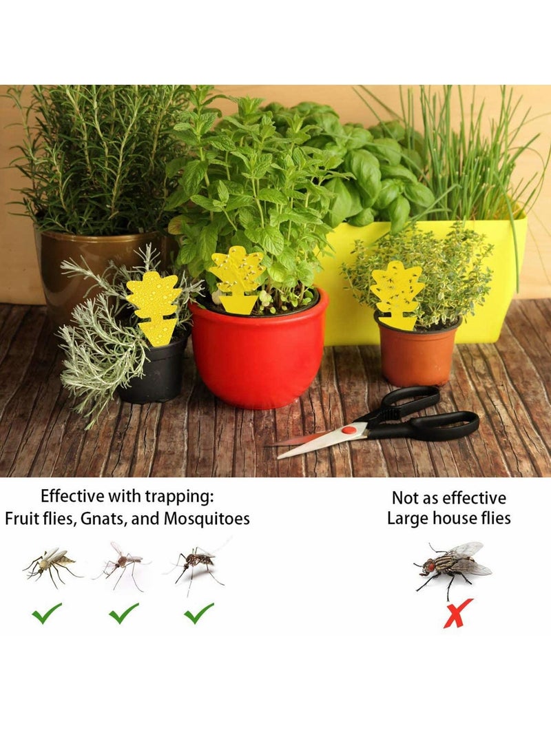 Excefore Sticky Gnat Trap, Fruit Fly and Fungus Gnat Trap Killer Indoor and Outdoor, Protect The Plant, Non-Toxic and Odorless, Gnat Trap Houseplant Flying Insect Catcher, Tree Shape  - Image 2