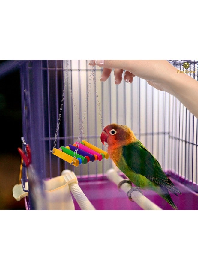 SunGrow Bird Swing For Parakeets, Parrot Cage Hammock, Wooden Platform Hanging Toy With Chain And Metal Clasp For Cockatiels, Colorful Bird Cage Accessory Toy Perch, Budgie Hammock MultiColor Swing - Image 4