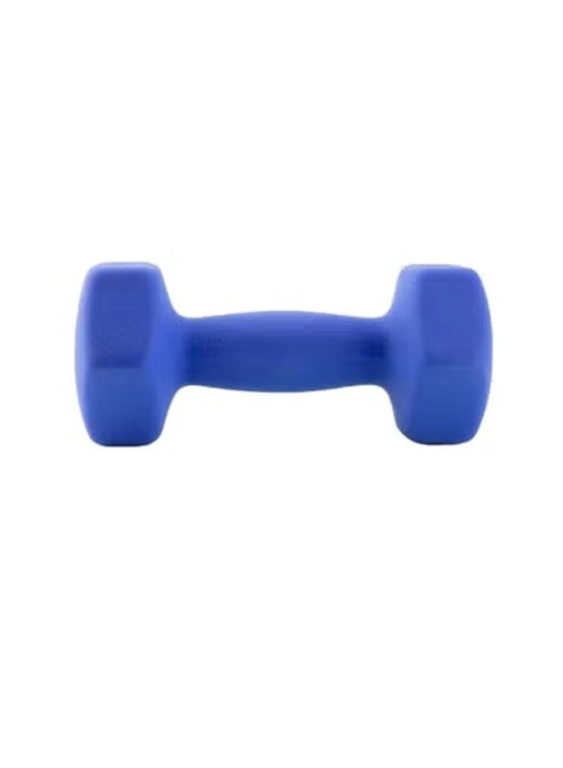 Huitich 5KG Neoprene Dumbbells Assorted - Image 2
