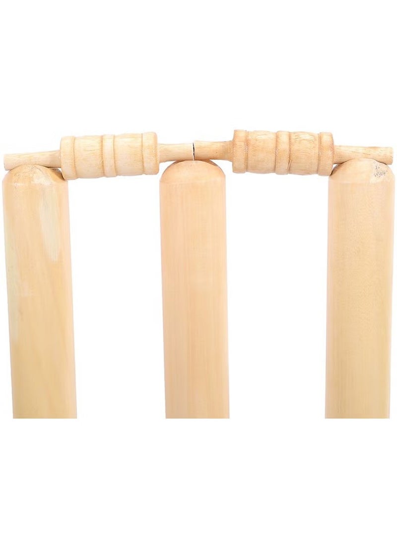 Generic Cricket Stumps With Spring Stand  - Image 5