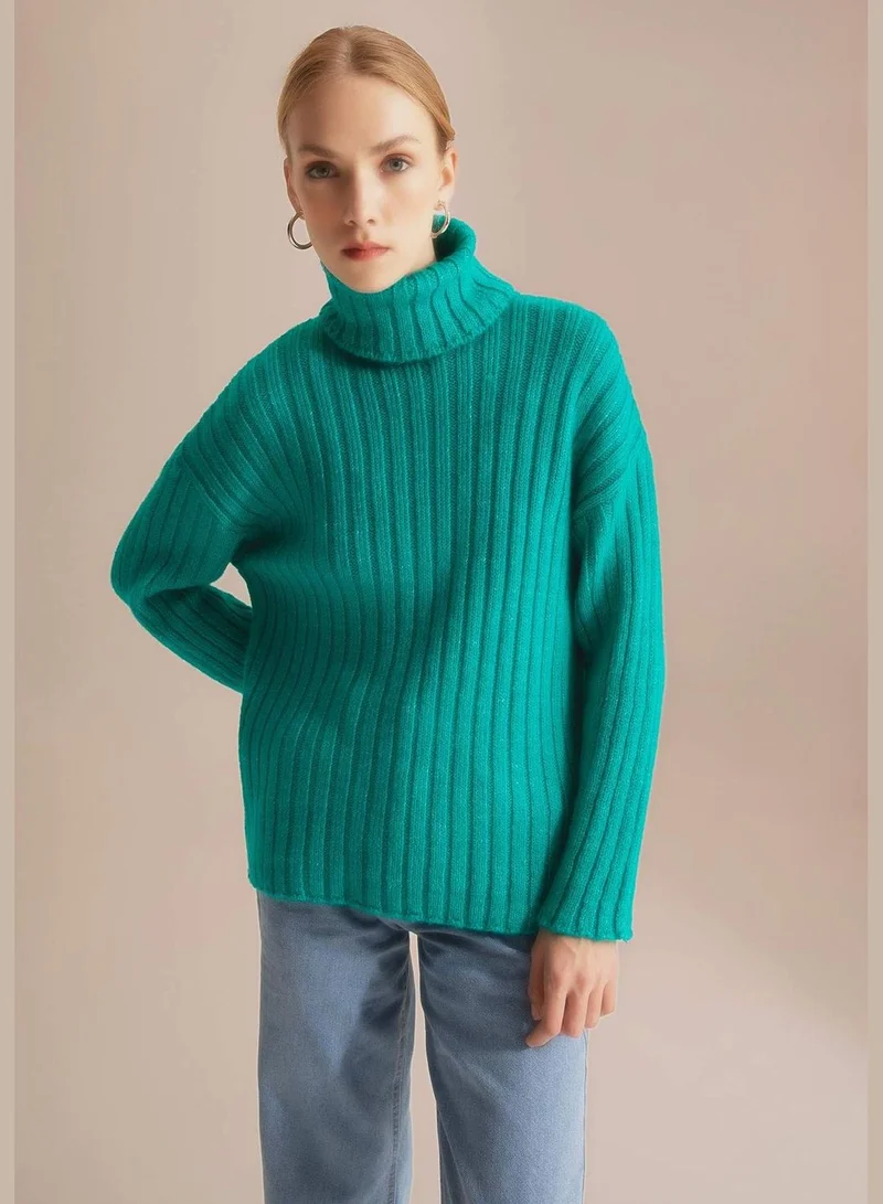 DeFacto Woman Oversize Fit Turtle Neck Long Sleeve Tricot Tunic