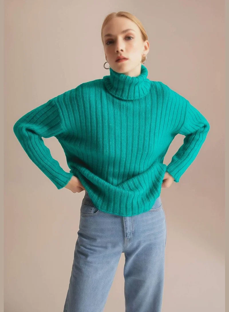 DeFacto Woman Oversize Fit Turtle Neck Long Sleeve Tricot Tunic