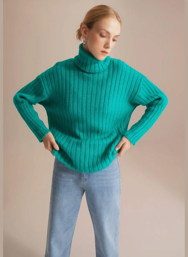 DeFacto Woman Oversize Fit Turtle Neck Long Sleeve Tricot Tunic