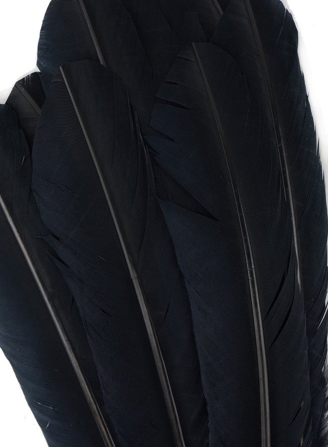 Zucker Turkey Quills Dyed Feathers