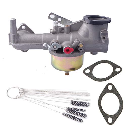 Dosens 491590 Carburetor Compatible for Briggs & Stratton 390811 392152 Carb Fits Briggs & Stratton 190702 190701 190705 190706-2179 191700 192700 193700 Engines with Cleaning tool kit - Image 1