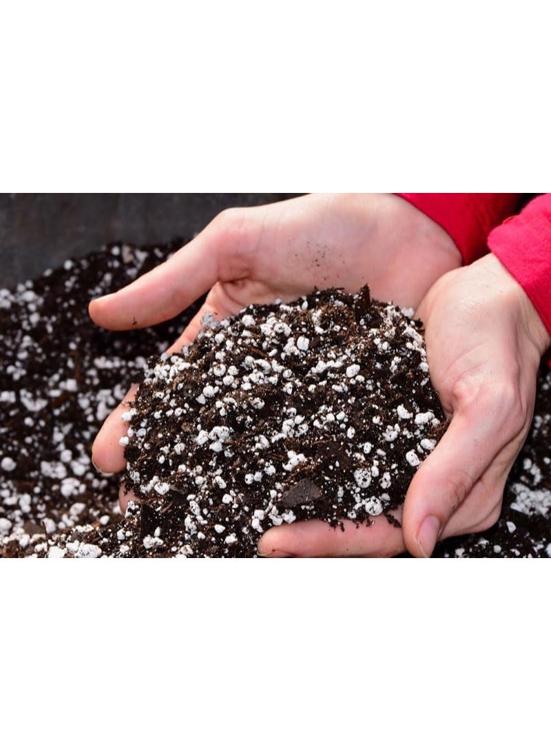 Sterile agricultural soil suitable for indoor and outdoor cultivation - (Perlite pond 10 liters) - Image 3