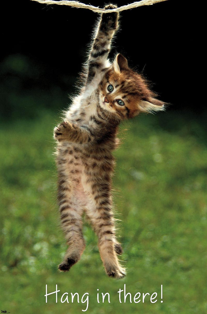 Trends International Kitten Hang In There Wall Poster 22.375" x 34" Bedroom - Image 1