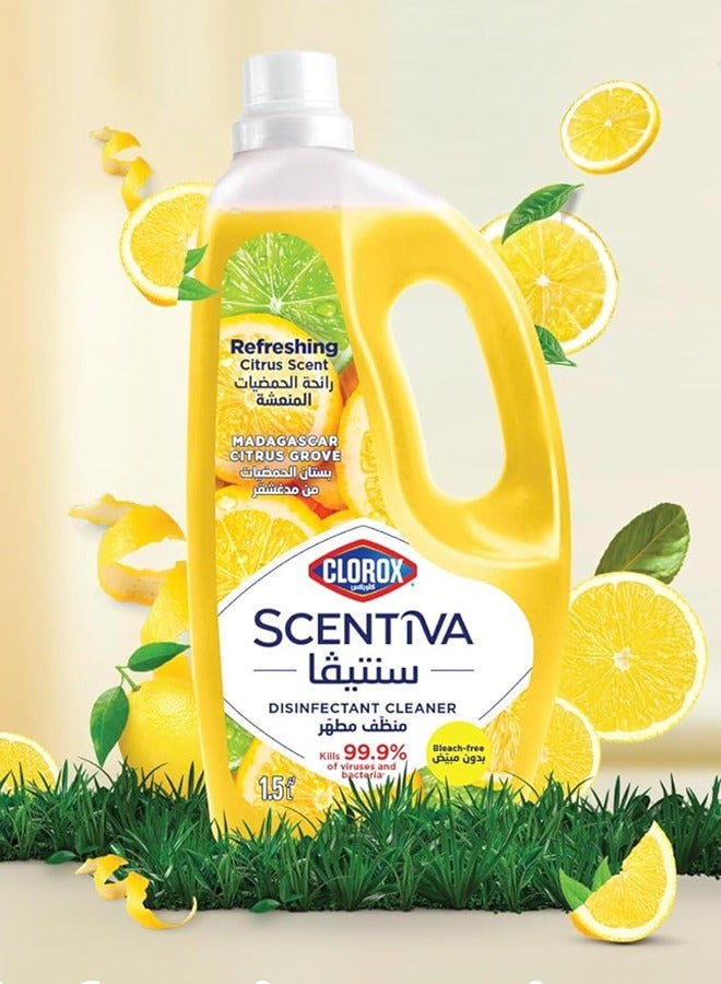 Clorox Scentiva Disinfectant Cleaner Citrus 1.5L - Image 2