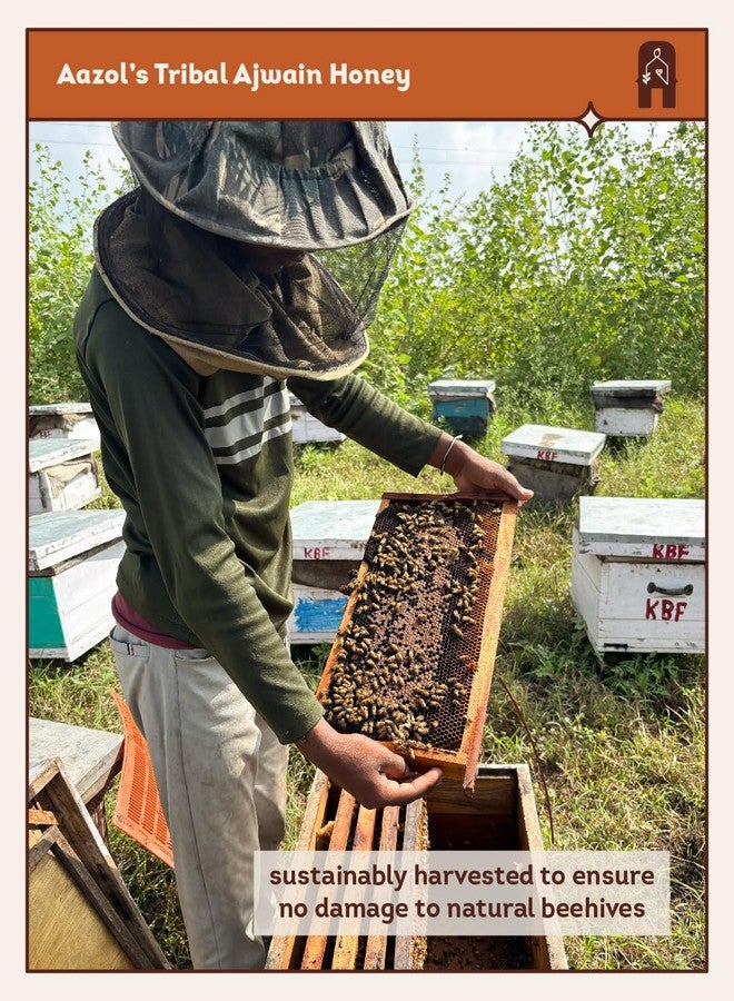 Aazol Tribal Ajwain Honey - 250g | Natural & Organic | Long Shelf Life | Sustainably Harvested | Direct from Nandurbar Tribals - Image 4