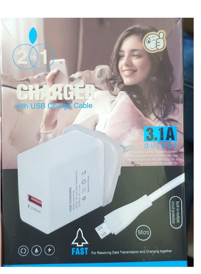 SMART 3.1 Charger