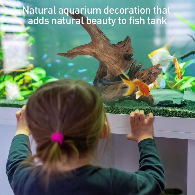 WDEFUN Natural Driftwood Aquarium Decor, 7-11 Inch Large Pieces for Fish Tank, Reptile Accessories, 3-Pack - Image 5