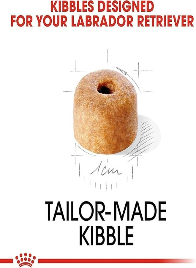 رويال كانين طعام رويال كانين للجراء من فصيلة لابرادور ريتريفر، 3 كجم، طعام جاف، يدعم صحة الجهاز الهضمي والمناعة، ويعزز النمو الصحي والتحكم في الوزن - Image 4