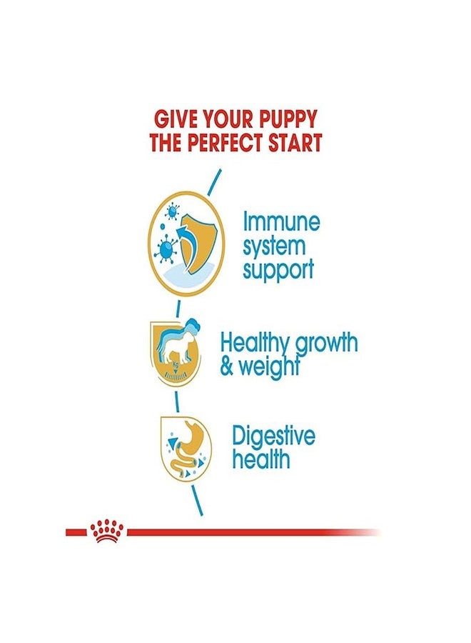 رويال كانين طعام رويال كانين للجراء من فصيلة لابرادور ريتريفر، 3 كجم، طعام جاف، يدعم صحة الجهاز الهضمي والمناعة، ويعزز النمو الصحي والتحكم في الوزن - Image 3