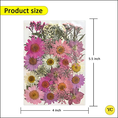 YellowCult Natural Real Dried & Pressed Flowers for Art Craft - Mixed, Multicolor for Soap, Candle, Scrapbooking, DIY, Resin Jewelry, Pendant - [Luxury Pink & Peach 40-45 pcs] - Image 2