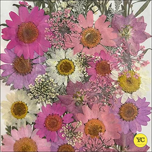 YellowCult Natural Real Dried & Pressed Flowers for Art Craft - Mixed, Multicolor for Soap, Candle, Scrapbooking, DIY, Resin Jewelry, Pendant - [Luxury Pink & Peach 40-45 pcs] - Image 3