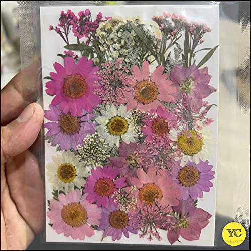 YellowCult Natural Real Dried & Pressed Flowers for Art Craft - Mixed, Multicolor for Soap, Candle, Scrapbooking, DIY, Resin Jewelry, Pendant - [Luxury Pink & Peach 40-45 pcs] - Image 4