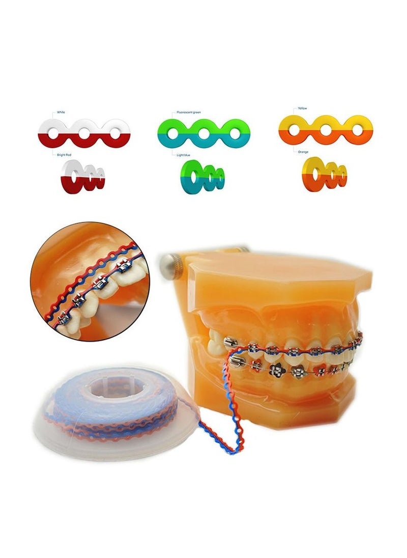 Beauenty 4.57M Orthodontic Rubber Chain, Braces Dynamic Chain (4.0mm)  - Image 3