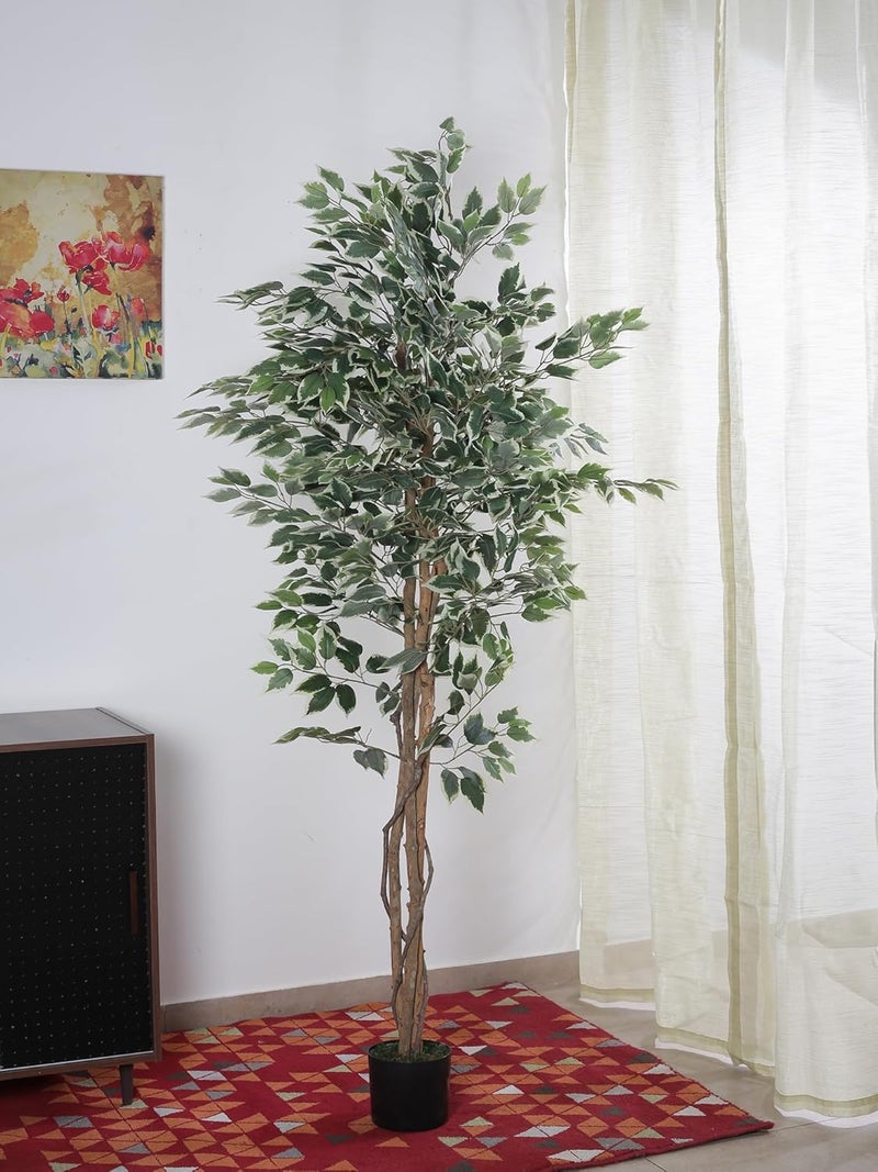 Home Bloom Artificial Ficus Tree6FT Tall Fake Plant Faux Ficus Plants for IndoorNatural Fake TreeArtificial Silk Plants for Office Home Living Room Floor