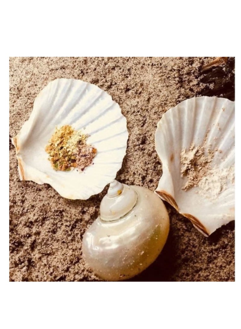 Natural Scallop Shells 6 PCS Seashell from Sea Beach for DIY Craft Mermaid Beach Wedding Home Decoration (10-13cm)  - Image 3