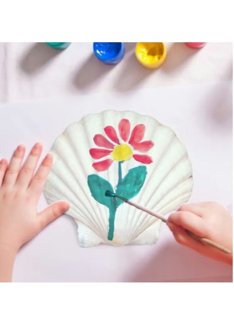 Natural Scallop Shells 6 PCS Seashell from Sea Beach for DIY Craft Mermaid Beach Wedding Home Decoration (10-13cm)  - Image 4