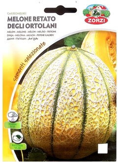 MELONE yellow RETATO DEGLI Ortolani Seeds