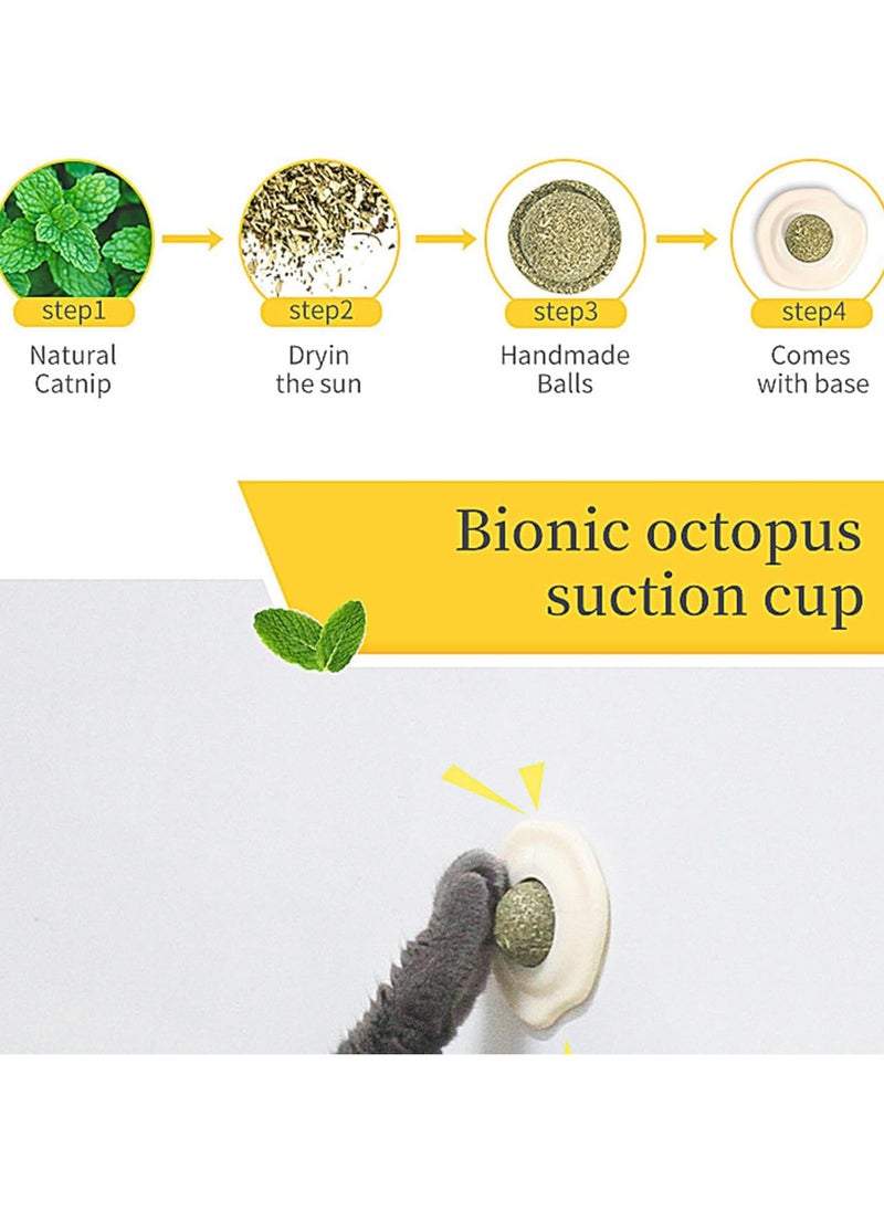 Catnip Ball Toy, Fried Egg Shape Catnip Roller Ball Wall Toys, Edible Cat Licking Toy, Cat Chew Toy, Teeth Cleaning Cat Bite Toy, Rotatable Indoor Cat Toy