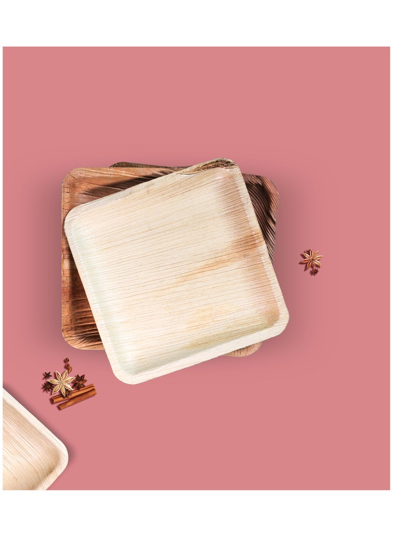 ECO SOUL Palm Leaf Plates, 8 inch Square, 10 Pc - Image 1